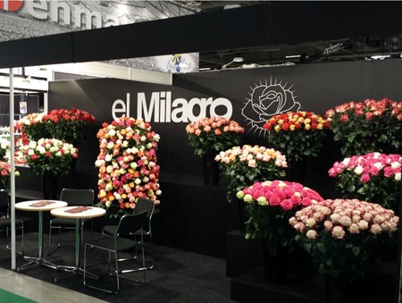 Målning trävägg, svart